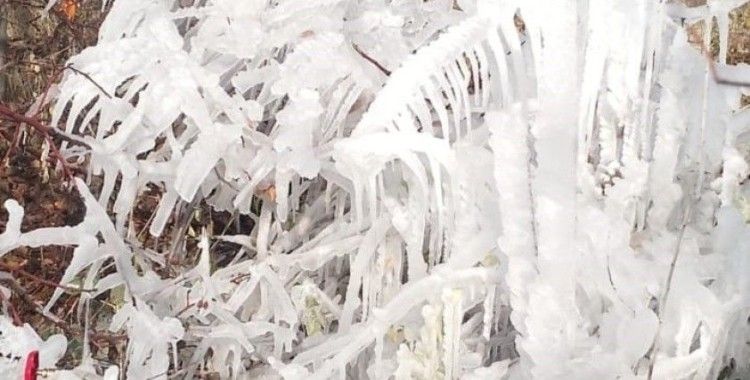 Elazığ’da araçlar ve ağaçlar buz  tuttu
