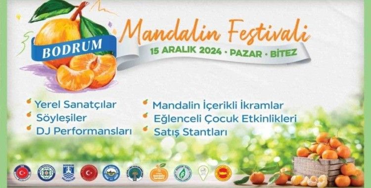 Geleneksel Bodrum Mandalin Festivali başlıyor
