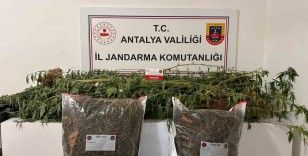 Alanya’da narkotik operasyonları
