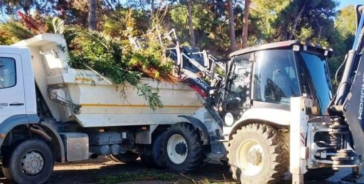 İlkadım’da ağaçlara estetik müdahale
