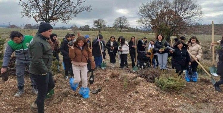 Emet’te fidan dikim etkinliği
