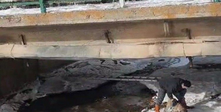 Buz tutan Çoruh Nehri’nde baba ve çocuklarının yürekleri ısıtan köpek kurtarma operasyonu
