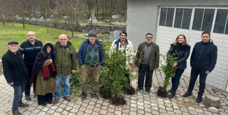 Samsun tarımında “Yeşil Yoldan Yeşil Bahçelere Projesi”
