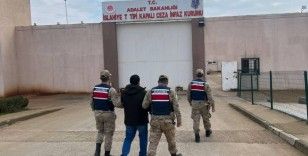 Uyuşturucu madde imal ve ticareti yapan şahsı jandarma yakaladı
