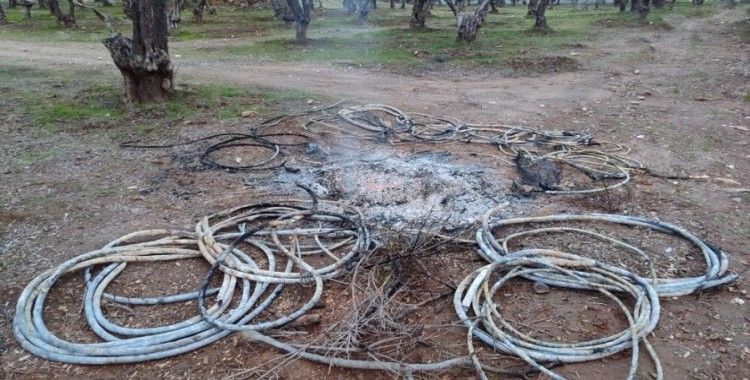 Çaldıkları enerji kablolarını yakınca yakalandılar
