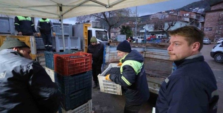 Gemlikli çiftçinin yüzü Gemlik Belediyesi’yle gülüyor
