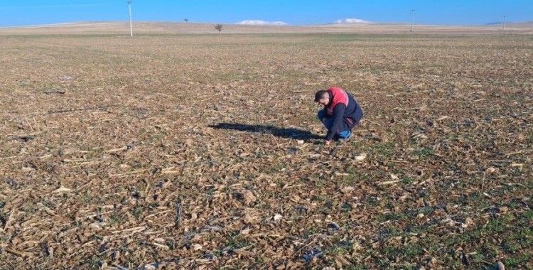 Dazkırı’da tarım arazisi etüt çalışması yapıldı
