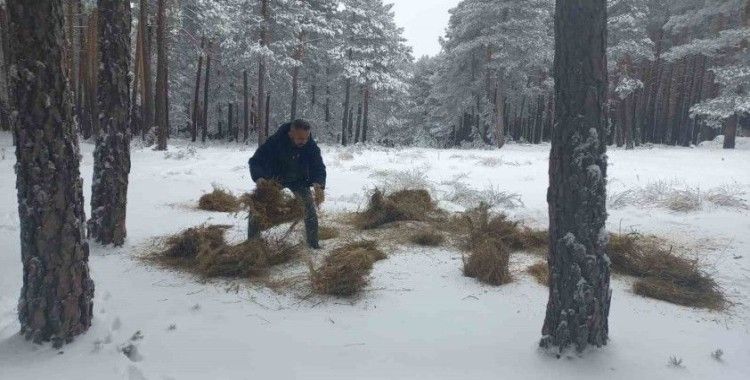 Kütahya DKMP’den yaban hayvanlarına yönelik yemleme çalışması
