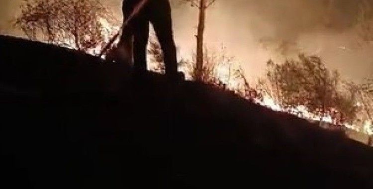 Hatay’da ormanlık alanda çıkan yangın söndürüldü
