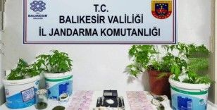 Jandarma’dan 6 ilçede uyuşturucu operasyonu
