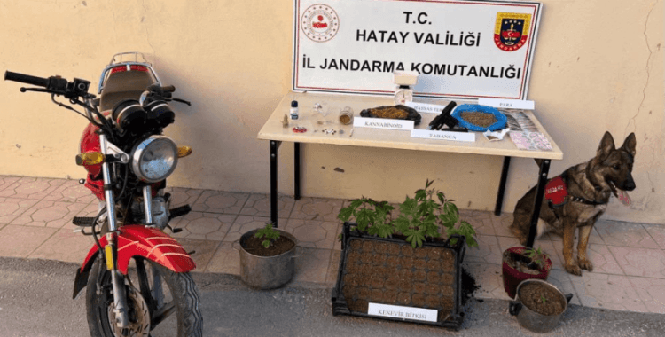 Hatay'da Jandarma'dan uyuşturucu ve kaçakçılık operasyonu; 25 gözaltı