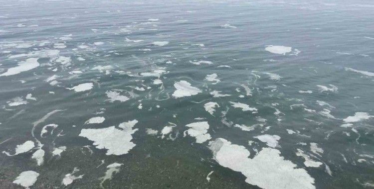 Mudanya’yı müsilaj sardı, deniz beyaz tabakayla örtüldü
