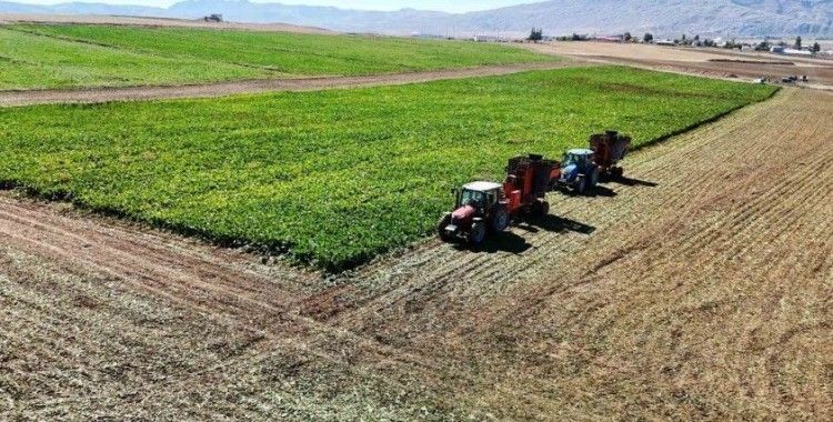 Kar yağışları bu sene çiftçinin yüzünü güldürecek