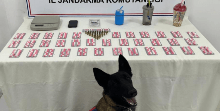 Jandarmadan 9 ayrı adrese eş zamanlı uyuşturucu operasyonu