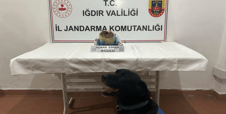 Iğdır'da 1 kilogram kubar esrar ele geçirildi
