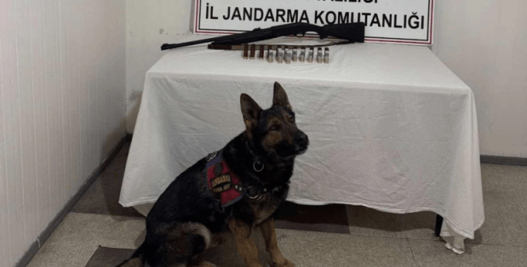 Bingöl'de 8 şüpheli yakalandı