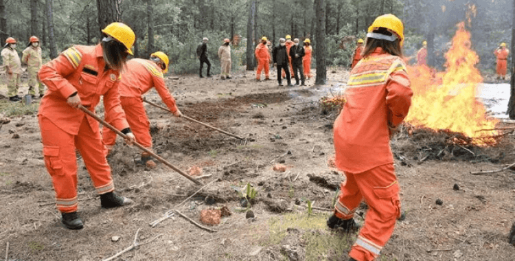 Tarım ve Orman Bakanlığı 8 bin 500 personel alacak: Kadro dağılımı belli oldu, başvuru tarihi açıklandı mı?