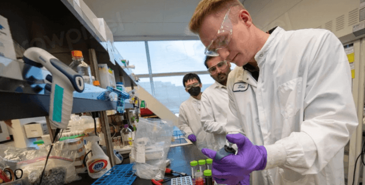 Rus medyasından çarpıcı iddia: ABD, Türkiye'ye komşu bölgede virüsle oynuyor