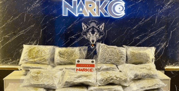 Kapıkule'de bir tırda 30 kilo uyuşturucu ele geçirildi