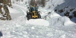 Gümüşhane’de çığ düşen köy yolu ulaşıma açıldı
