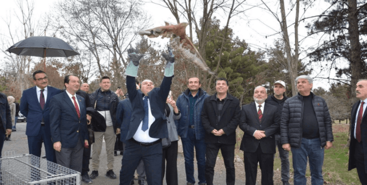 Diyarbakır'daki panel sonrası doğaya bırakıldılar