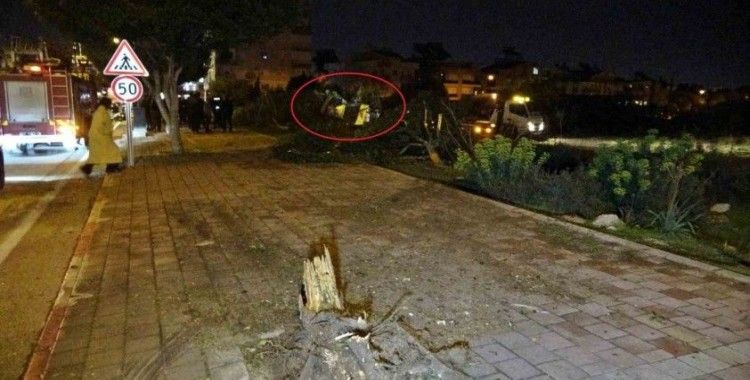 Otomobil kaldırıma çarpıp bahçeye uçtu, polis memuru sürücü ağır yaralandı