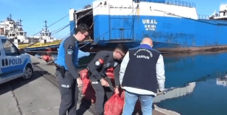 Samsun'da 1 ton 180 kilo kaçak midye ele geçirildi