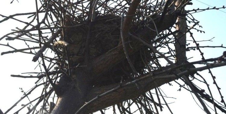 Doğaya saygının en güzel hali