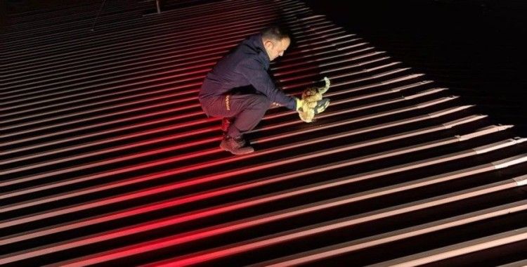 Çatıda mahsur kalan kediyi itfaiye kurtardı
