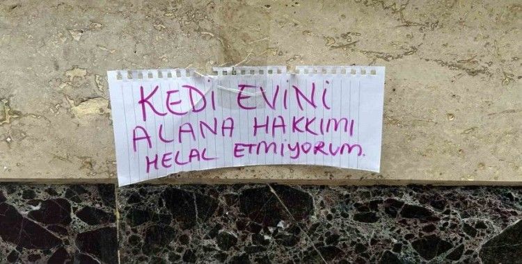 Kedi evini çalanlara hakkını helal etmedi
