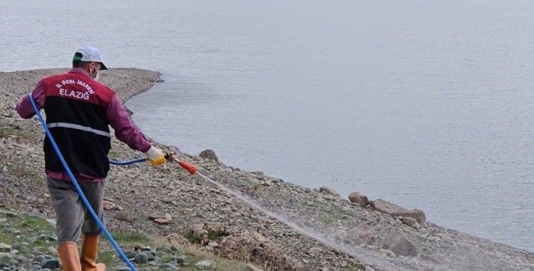 Elazığ’da larva ilaçlama çalışmaları sürüyor
