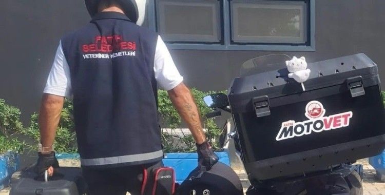 Fatih Belediyesi’nden doğaya can: Motovet ekibi yaralı kanatlıları hayata kazandırıyor
