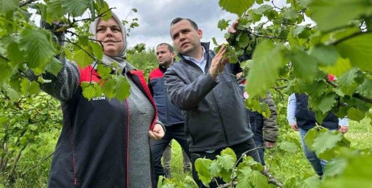 Üreticinin kayıpları tespit ediliyor
