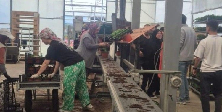 Öğrenciler çiçeklerle sürdürülebilirliği keşfetti
