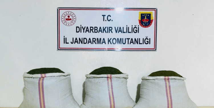 Diyarbakır İl Jandarma Komutanlığından 'Terör örgütüne darbe'