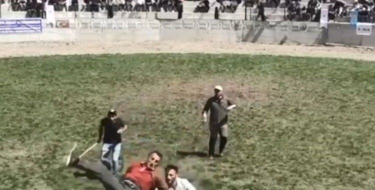 Artvin’de 500 kilogramlık boğa bakıcısını  hastanelik etti
