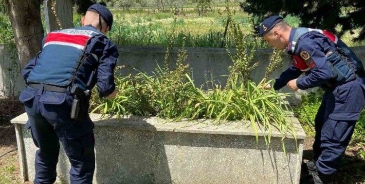 Karpuzlu jandarması şehit Özçelik’i unutmadı
