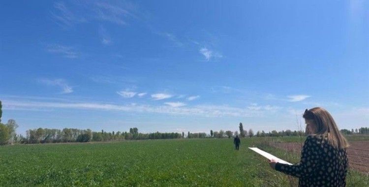 Iğdır’da yem bitkileri kontrolleri devam ediyor
