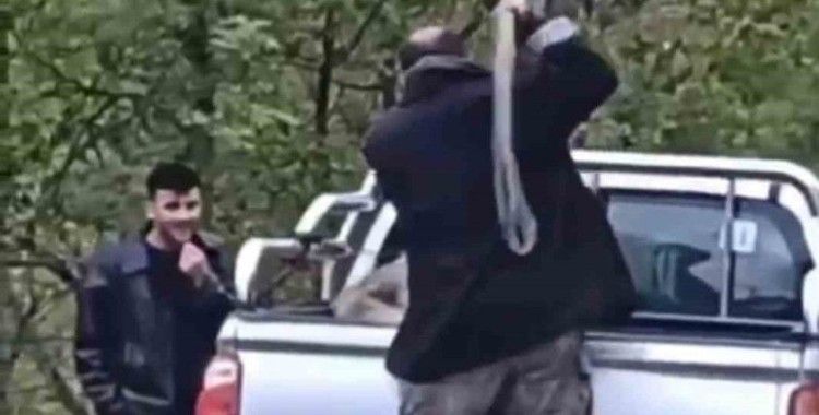 Köpeğe halatla şiddet uygulayan şahıs gözaltına alındı
