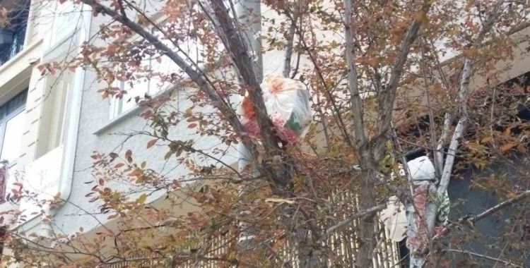 Ağaç dalları çöp açtı
