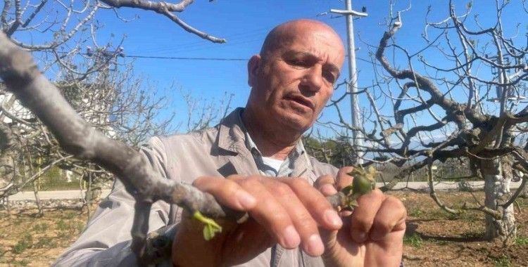 Zirai don Bursa siyahını çok etkilemedi
