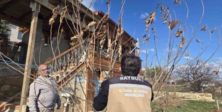 Bayburt’ta meyve ağaçlarında hastalık kontrolleri yapıldı
