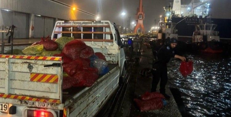 Samsun’da 2 ton kaçak midye ele geçildi
