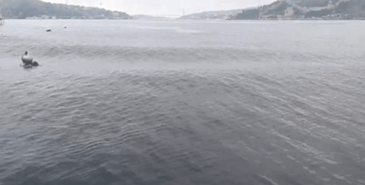 İstanbul'daki deprem anı boğazda görüntülendi: Sosyal medyada gündem oldu