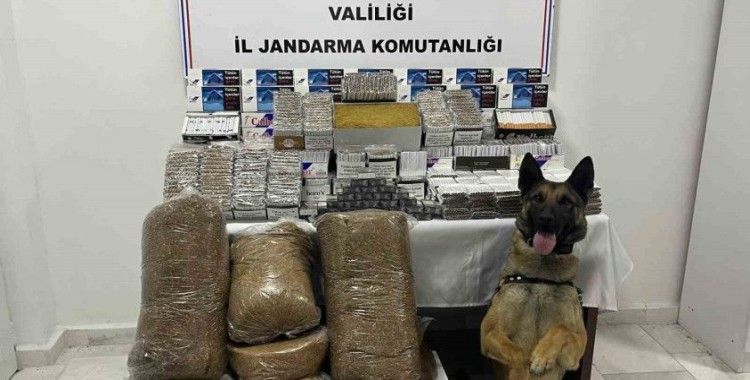 Jandarmadan kaçak makaron operasyonu
