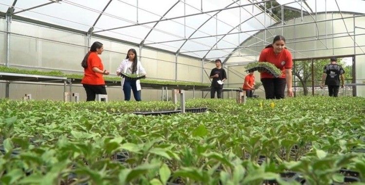 Tarım bölümü öğrencileri, serada teorik eğitimlerini uygulama fırsatı buluyor
