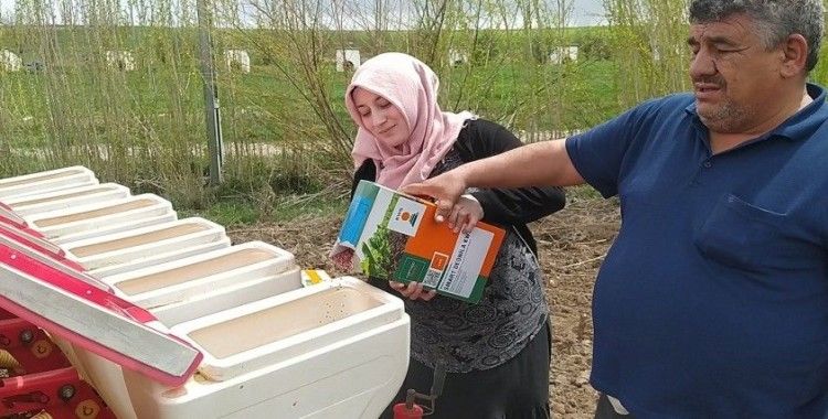 Traktörün direksiyonuna geçen kadın çiftçi, erkeklere taş çıkartıyor
