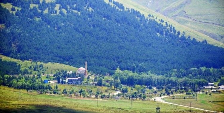 Erzurum’da "Orman Alanları, Ağaçlandırma ve Erozyon Kontrol Sahaları ile ilgili Valilik Genel Emri" yayınlandı

