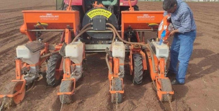 Araban Ovası’nda pamuk ekimine başlandı
