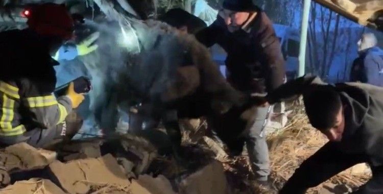 Yüksekova’da ahır çöktü: Köylüler ve ekipler hayvanlar için seferber oldu
